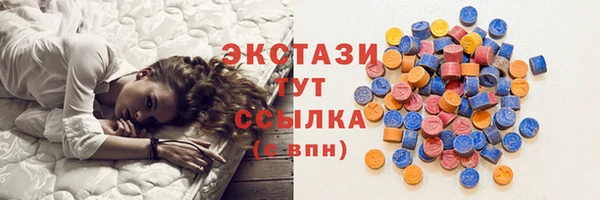 твердый Бородино