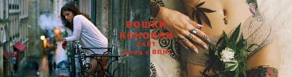 хмурый Бронницы