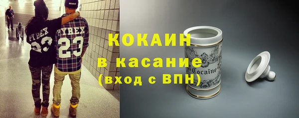 твердый Бородино