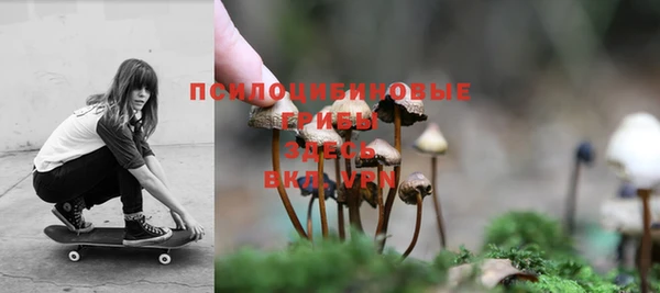 твердый Бородино