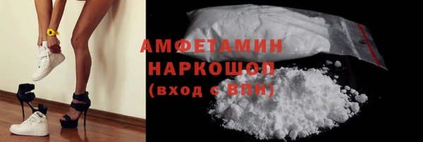 твердый Бородино