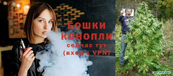 твердый Бородино