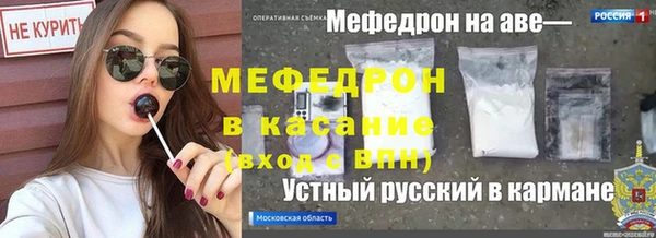твердый Бородино